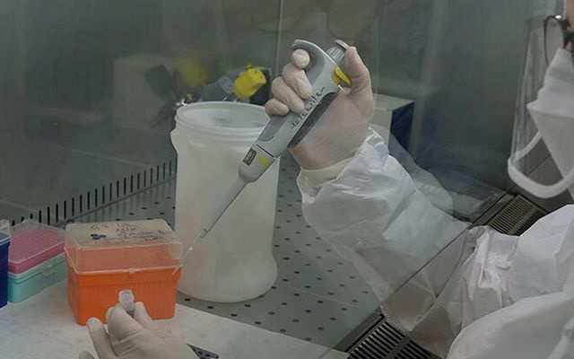 Sakarya Üniversitesi Eğitim ve Araştırma Hastanesinde immun plazma tedavisi başladı