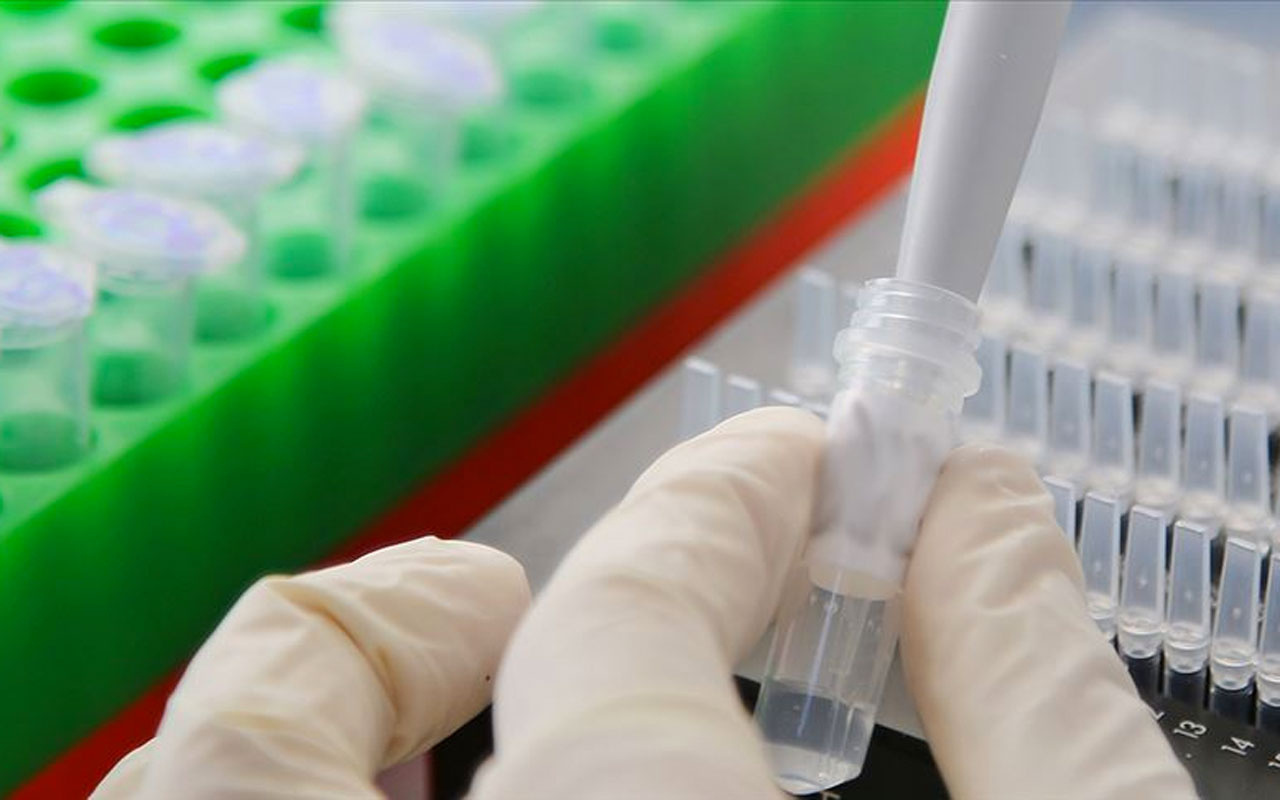 Van'da koronavirüs taşıyan hastaları gizleyen muhtar görevden uzaklaştırıldı