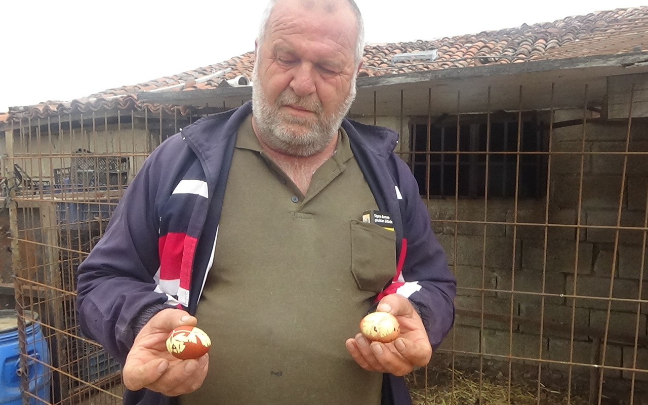 Çanakkale'de maydanoz yedirdiği tavuğu maydanoz desenli yumurta verdi