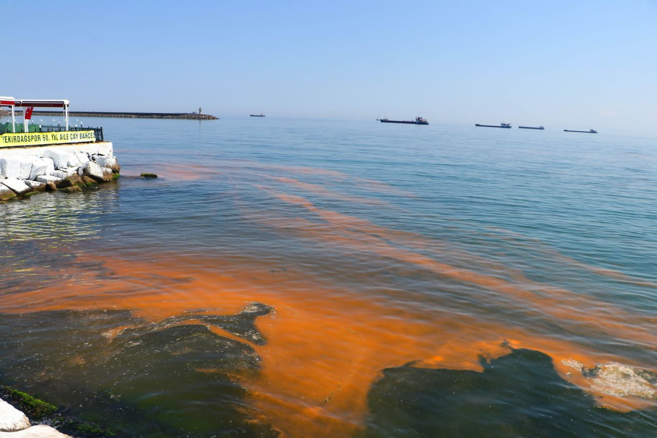 Deniz turuncu renge döndü! Tekirdağ'da Marmara'ya bakanlar şaşırdı