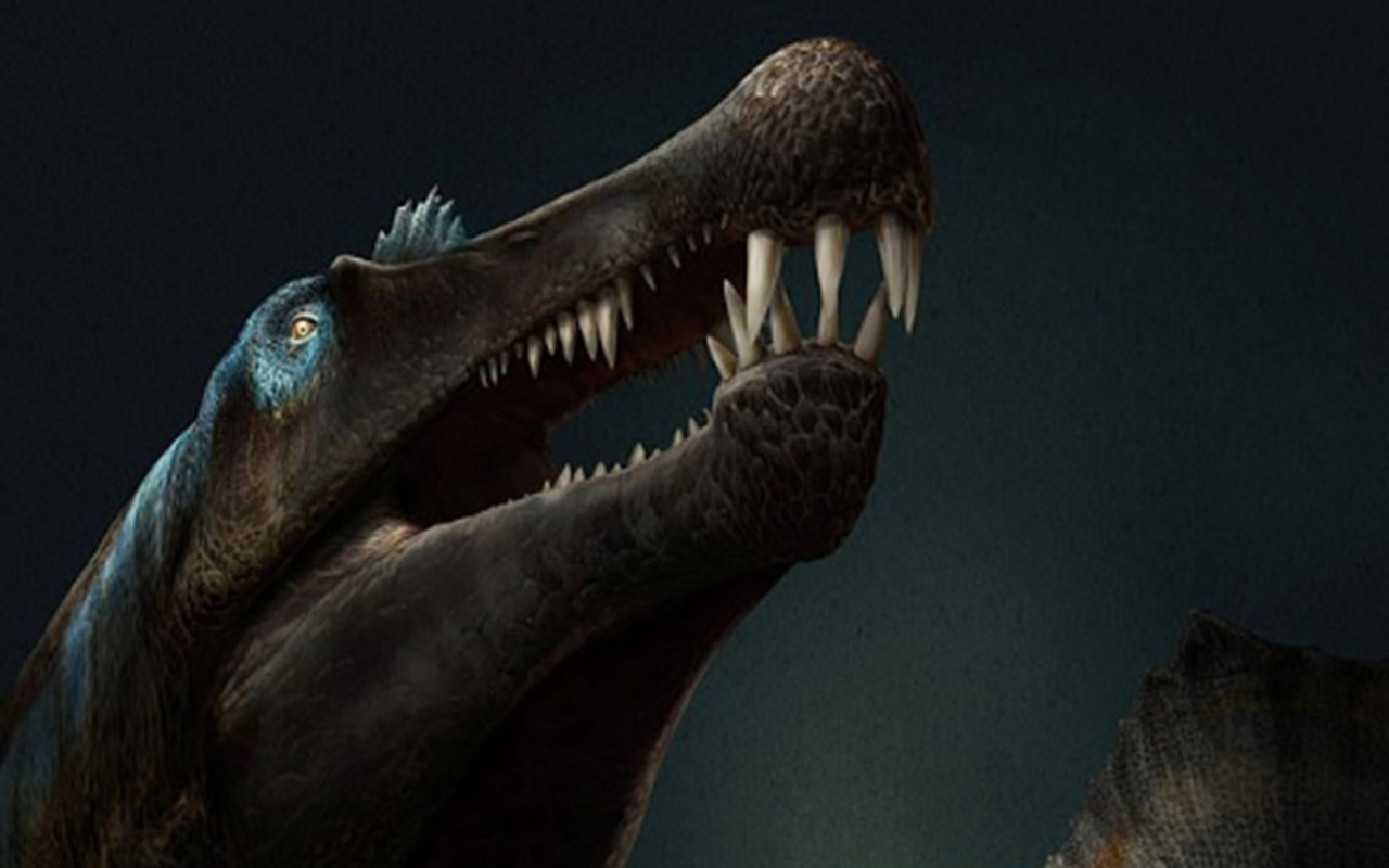 Su altında yaşayan ilk dinozor türü keşfedildi