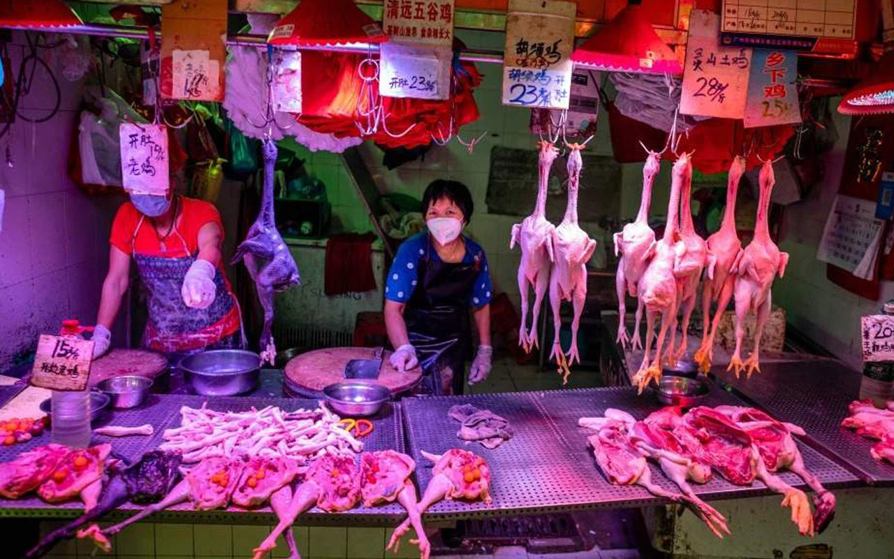 Çin’de yasağa rağmen vahşi hayvan tüketimi sürüyor