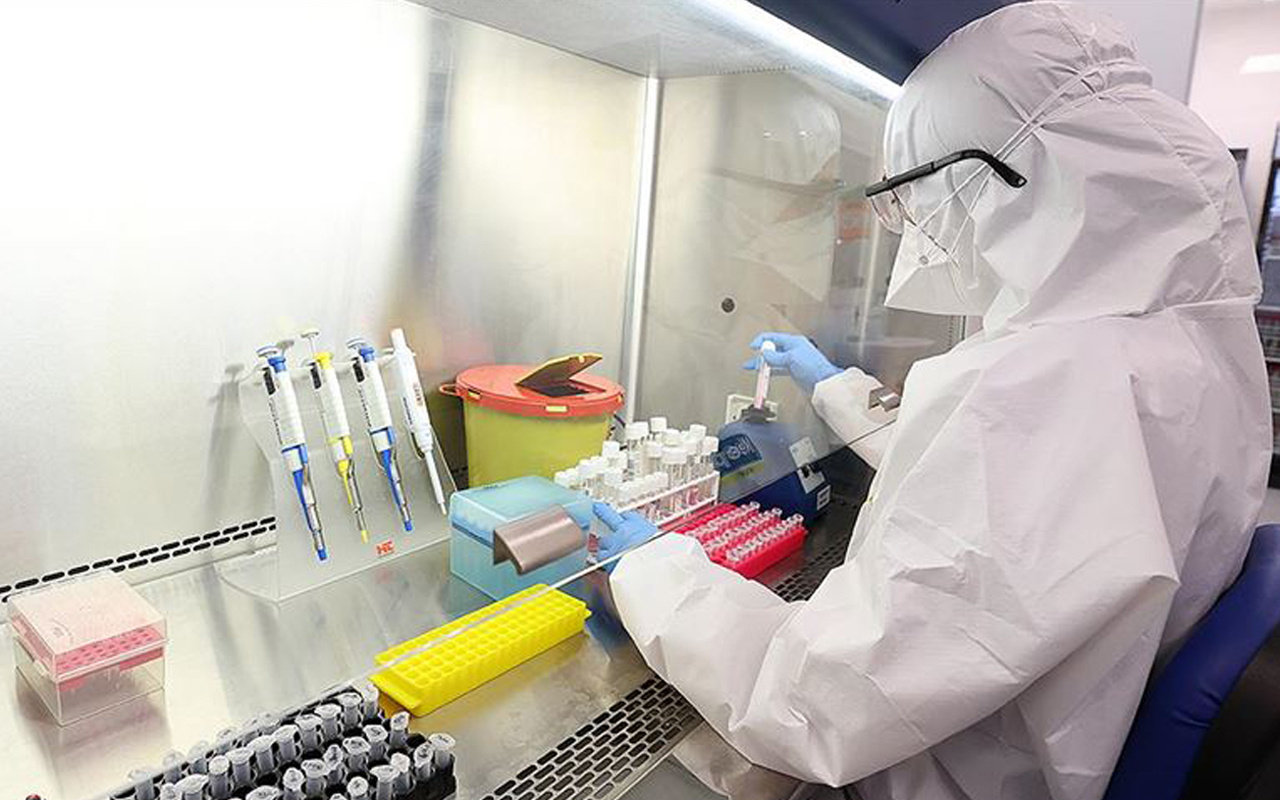PCR testi nerede yapılır Ankara, İzmir, Adana PCR testi yapan hastaneler