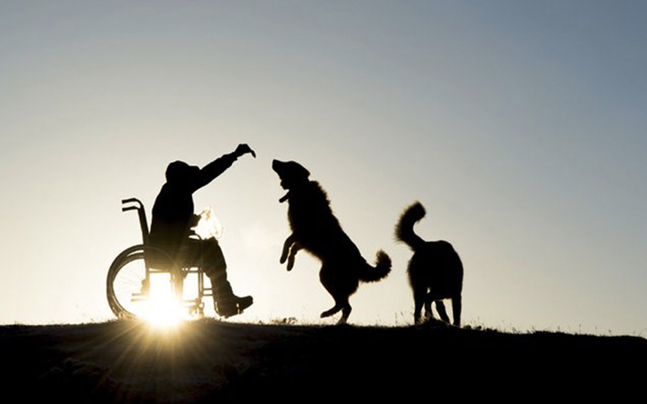 Engelliler Haftası ne zaman 2020 Engelliler haftası etkinlikleri
