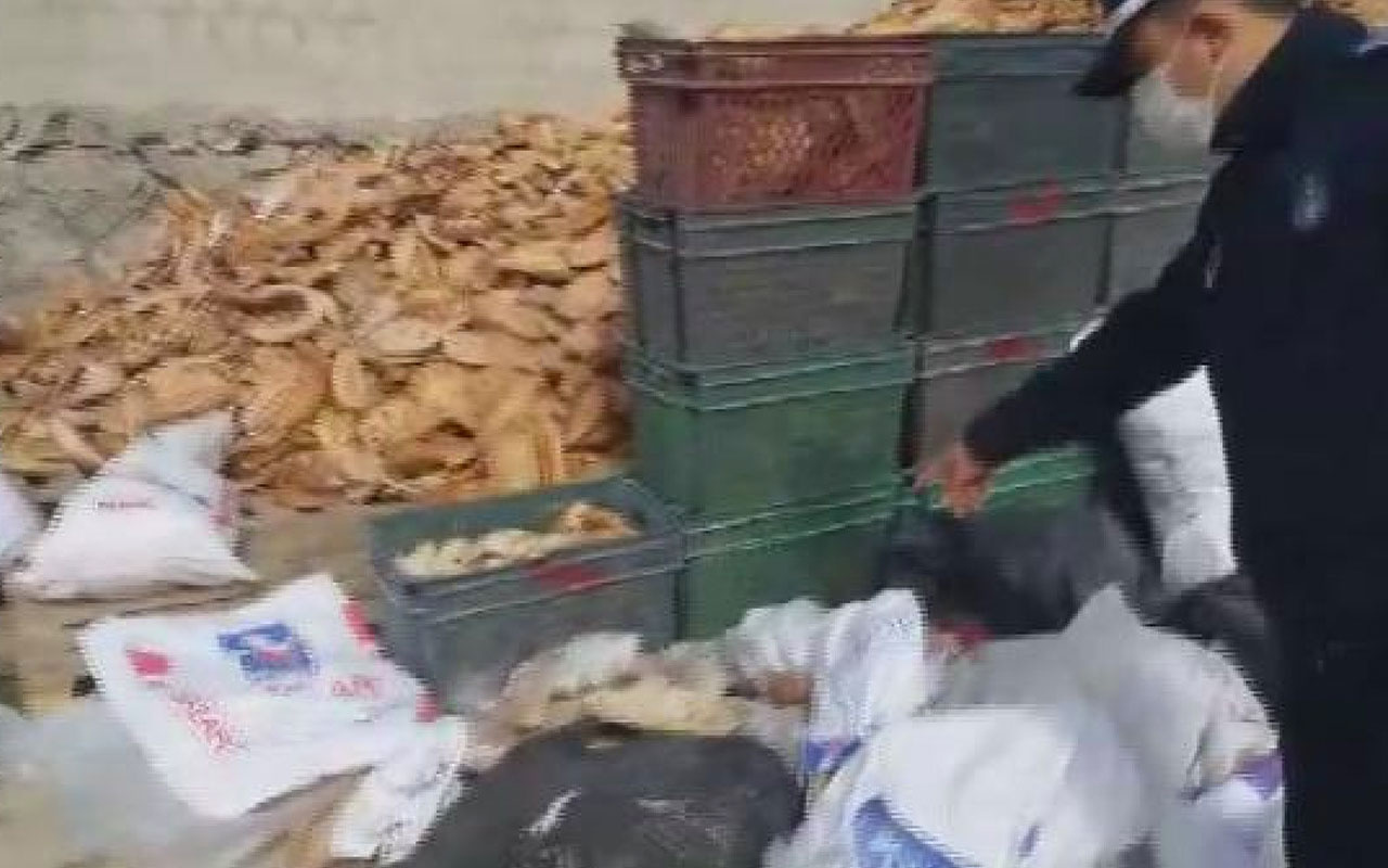 İstanbul'da küflü ekmek ve pidelerden galete unu yapan iş yerine baskın