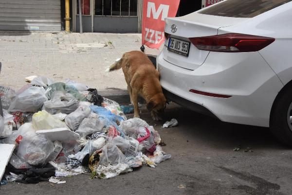 İzmir çöplüğe döndü! 'Her yer leş gibi çöp kokuyor, belediye 2 gündür çöpleri toplamıyor'