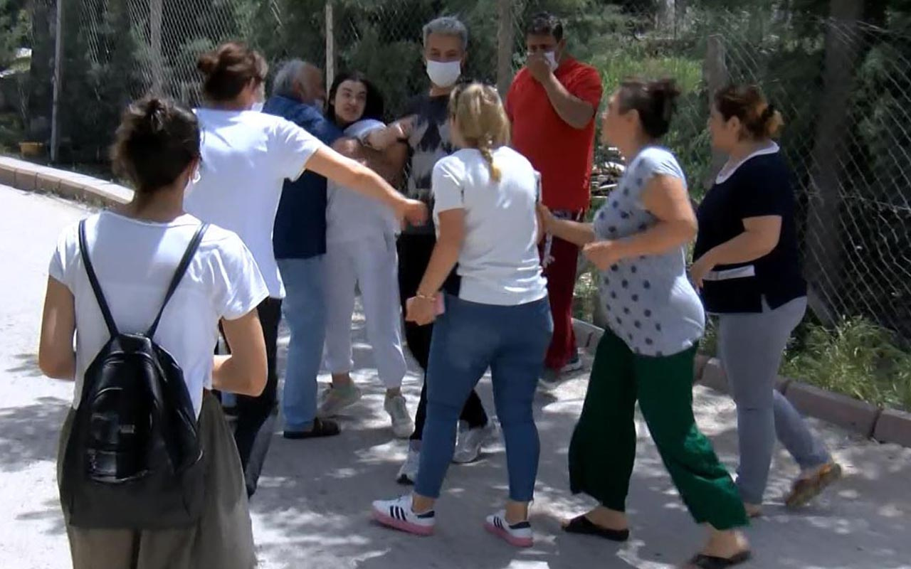 Ankara'da köpek besliyor diye kadına soğan patatesle saldırdılar