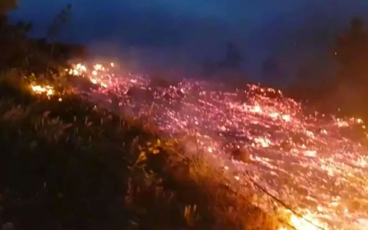 Bursa İnegöl'de korkutan orman yangını