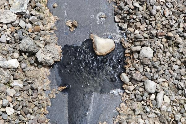 Şaşırtan doğa olayı Denizli’de sıcak su kaynağı asfaltı deldi