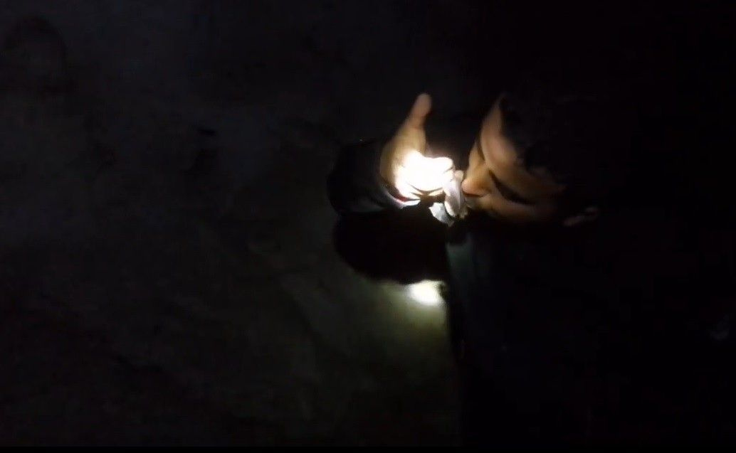 Bursa’da mağaraya girip koronavirüsle gündeme gelen yarasayı öptü