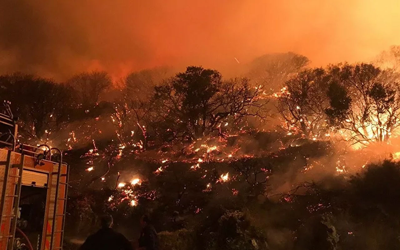 CZN Burak'tan Antalya yangınında ev tipi söndürücüyle 'şov' Rezil oldu!