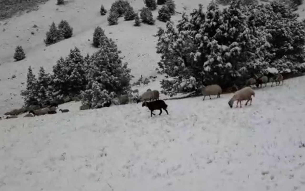 Tunceli'de kar sürprizi