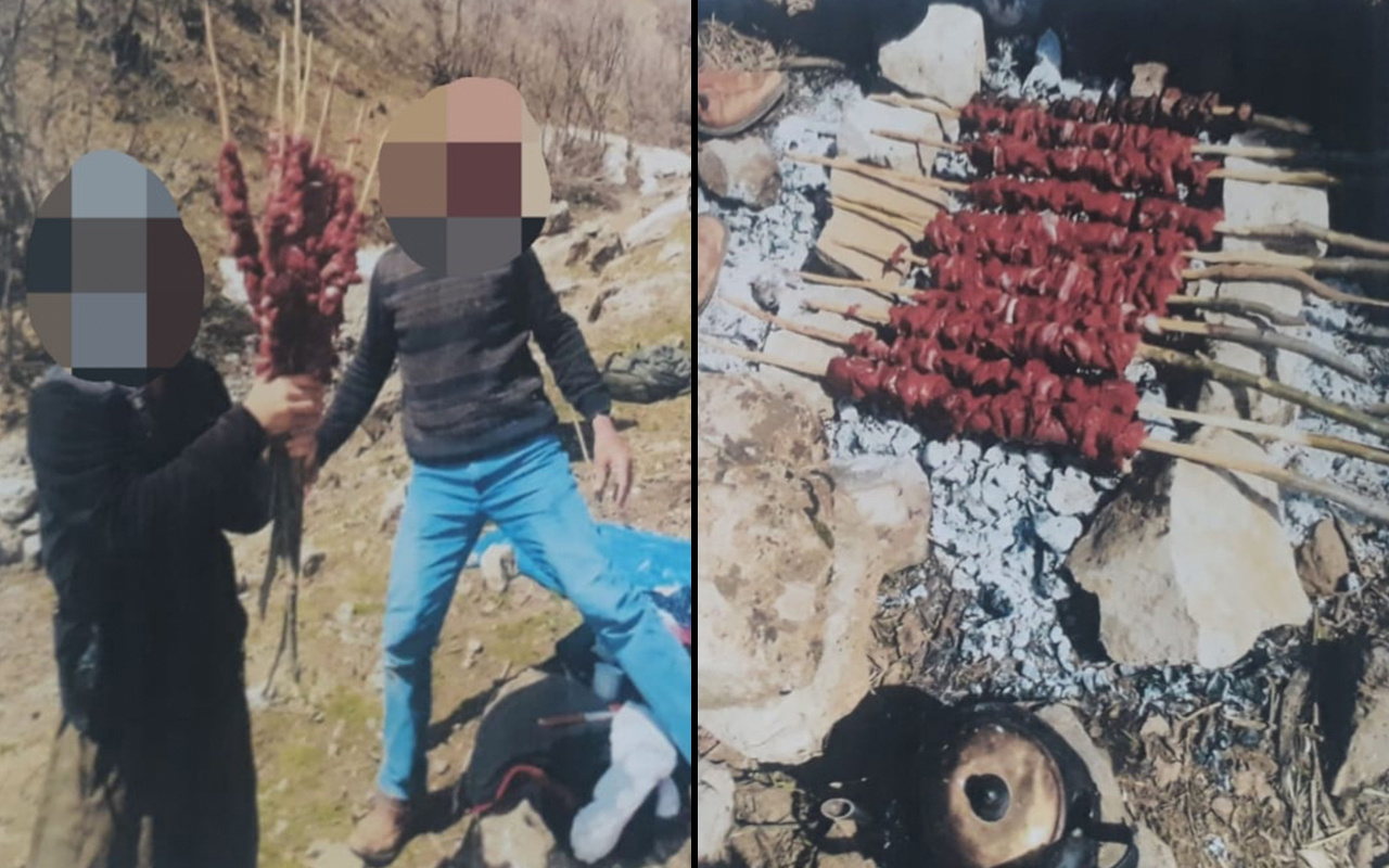 Şırnak'ta dağ keçisini vurup şiş kebap yapanlara 29 bin TL ceza