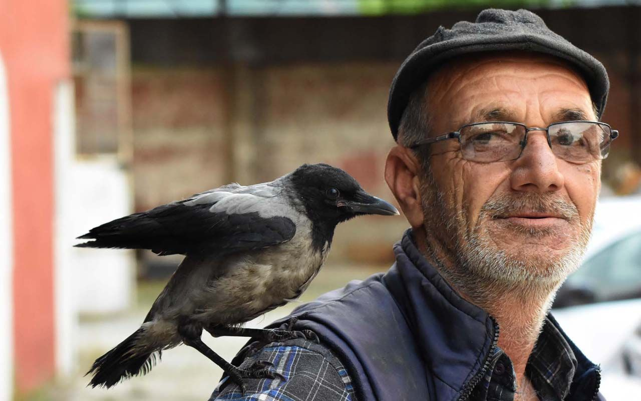 Bursa'da kaynak ustası yaralı bulup tedavi etti iş yaparken bile omzundan inmiyor