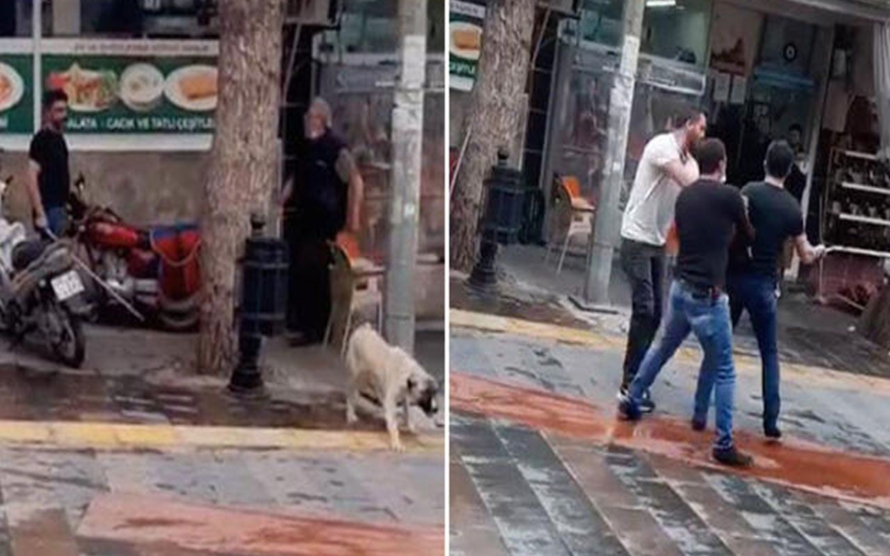 Sosyal medyada tepki çeken görüntü! Köpeği fırça sapıyla dövdü