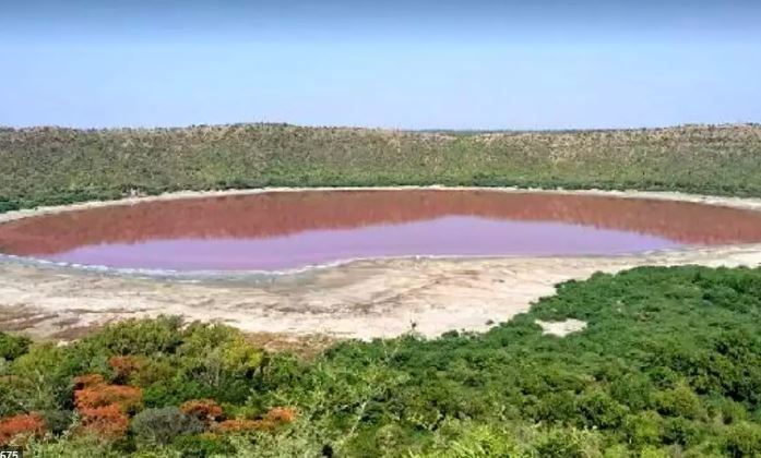 Göktaşıyla oluşan Hindistan'daki Lonar Gölü pembe renge döndü