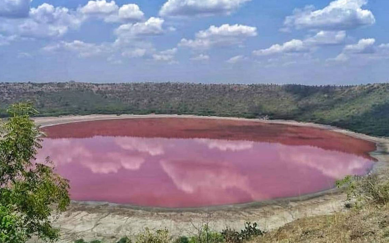 Göktaşıyla oluşan Hindistan'daki Lonar Gölü pembe renge döndü