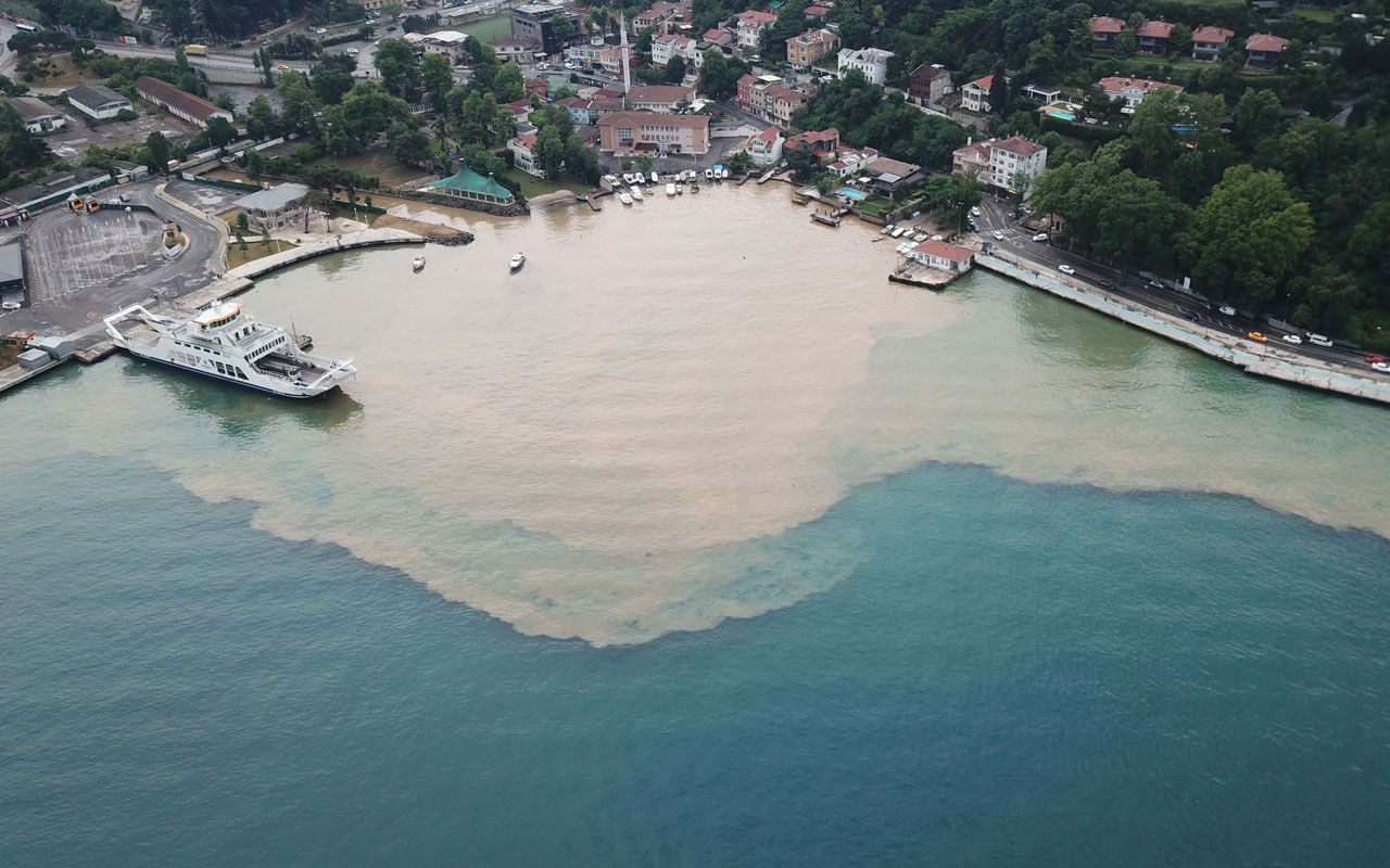 Beykoz'da yağmur bastırdı! İstanbul Boğazı'na çamurlu su aktı