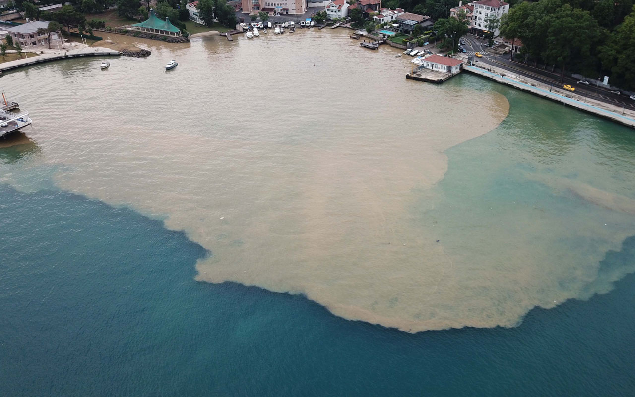 Beykoz'da yağmur bastırdı! İstanbul Boğazı'na çamurlu su aktı