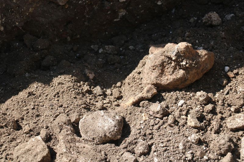 Avrupa'da 1200 kiliseye adı verildi Sivas'ta mezarının tespiti için kazılar başladı