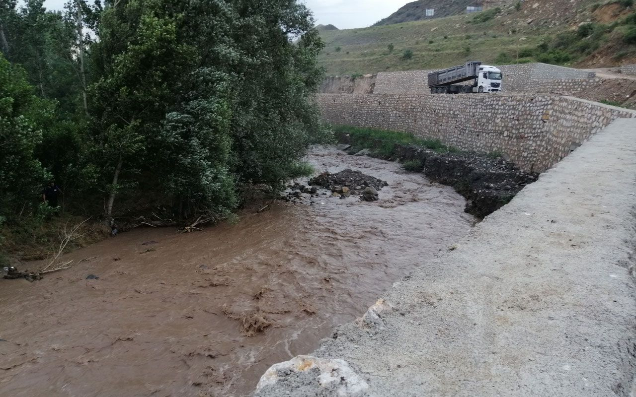 Amasya'da 30 büyükbaş hayvan sele kapıldı! Telef oldular