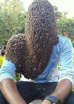 Hindistan'da 60 bin arıyı kafasında tuttu Guinness Rekorlar Kitabı’na girdi