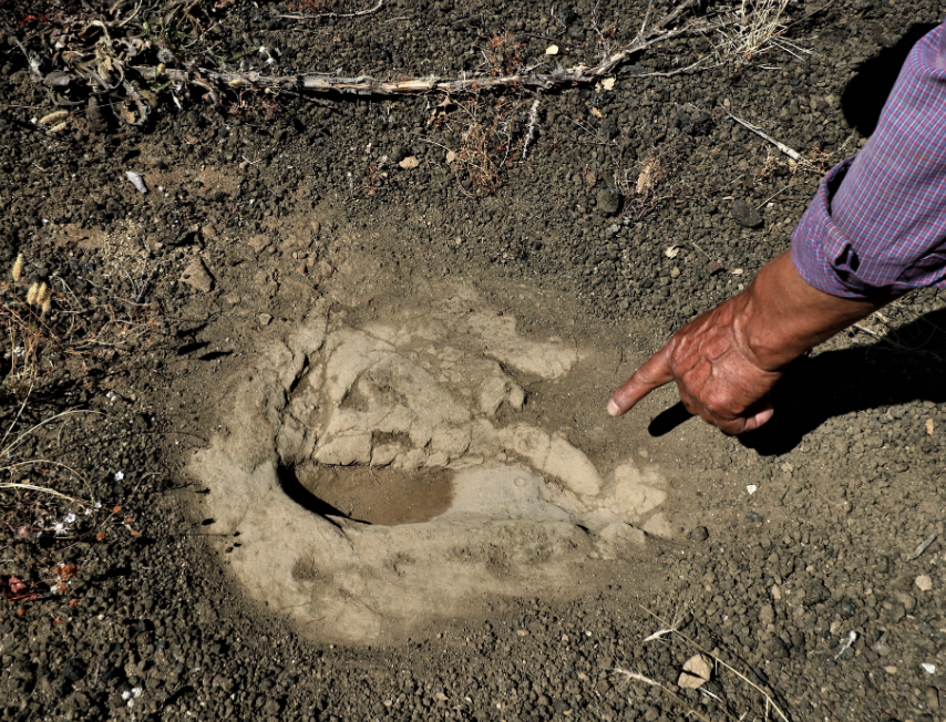 Manisa'da 12 bin yıllık olduğu tespit edilen ayak izlerine köy muhtarı gözü gibi bakıyor