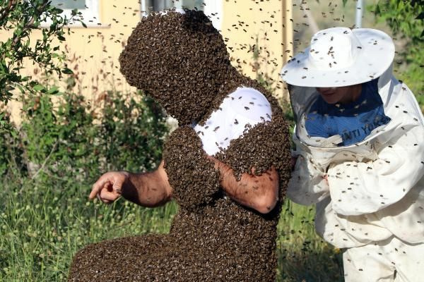 Vanlı Arı Adam dünya rekorunu kırmak için binlerce arıyı üzerinde topladı