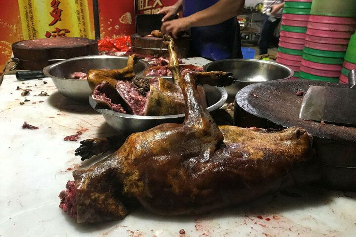 Çin'de köpek eti festivali tepkilere rağmen başladı Haber