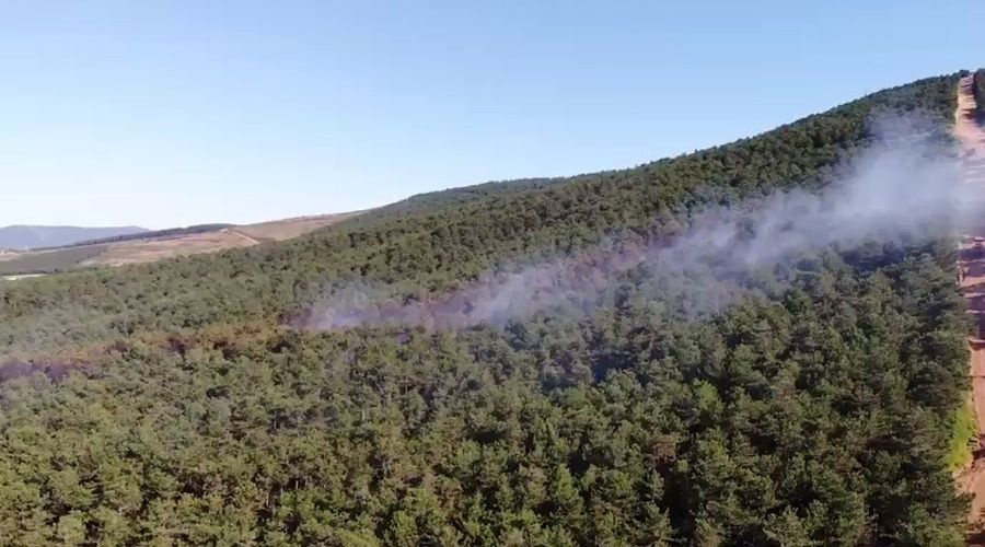 İstanbul Kayışdağı'nda orman yangını