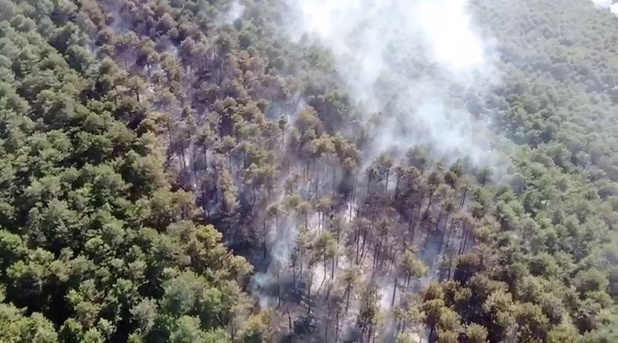 İstanbul Kayışdağı'nda orman yangını