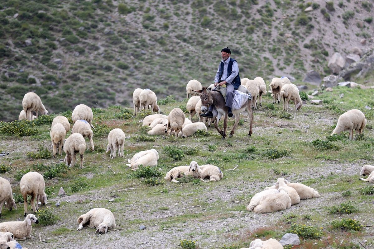 Kayseri'de 18'lik gençlerin gezemediği dağlarda 40 yıldır geziyor