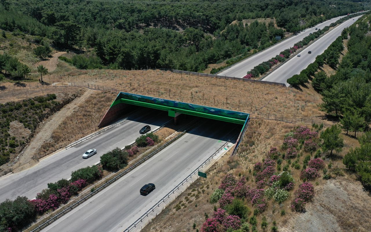 İzmir'de yaban hayvanları için yapılan 'Ekolojik köprünün' yapımı tamamlandı