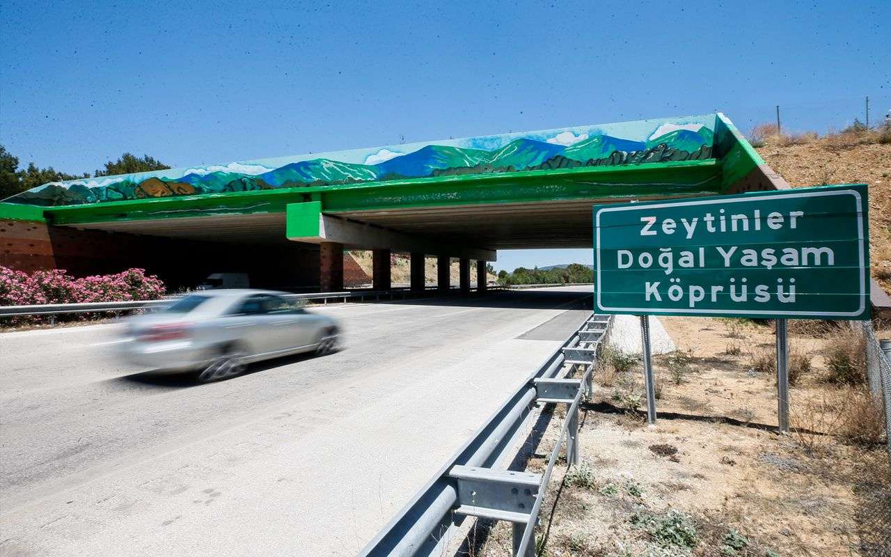 İzmir'de yaban hayvanları için yapılan 'Ekolojik köprünün' yapımı tamamlandı