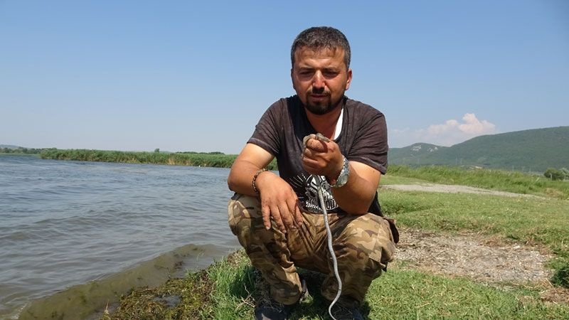 Uluabat Gölü'nde görüldü halk 'depremin habercisi' olarak yorumladı