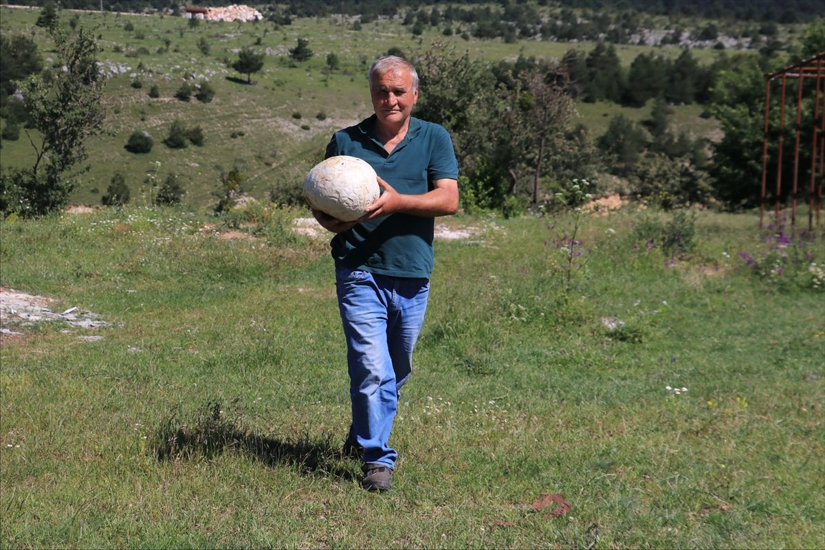 Kastamonu'da doğada buldu futbol topu sandı yakından inceleyince ne olduğu ortaya çıktı