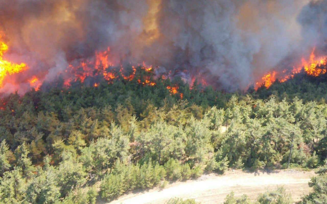 Çanakkale Gelibolu'da orman yangını! Ekipler canla başla müdahale ediyor