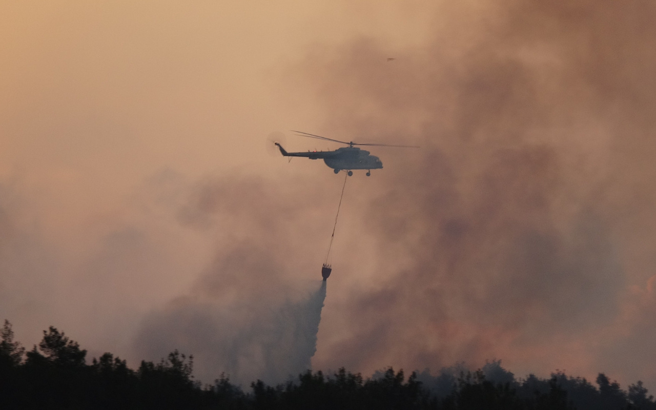 Gelibolu Yarımadası'nda orman yangını! Acı bilançoyu Bakan Pakdemirli açıkladı