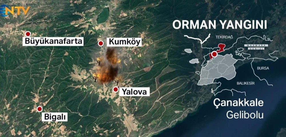 Gelibolu Yarimadasi Nda Orman Yangini Aci Bilancoyu Bakan Pakdemirli Acikladi Internet Haber