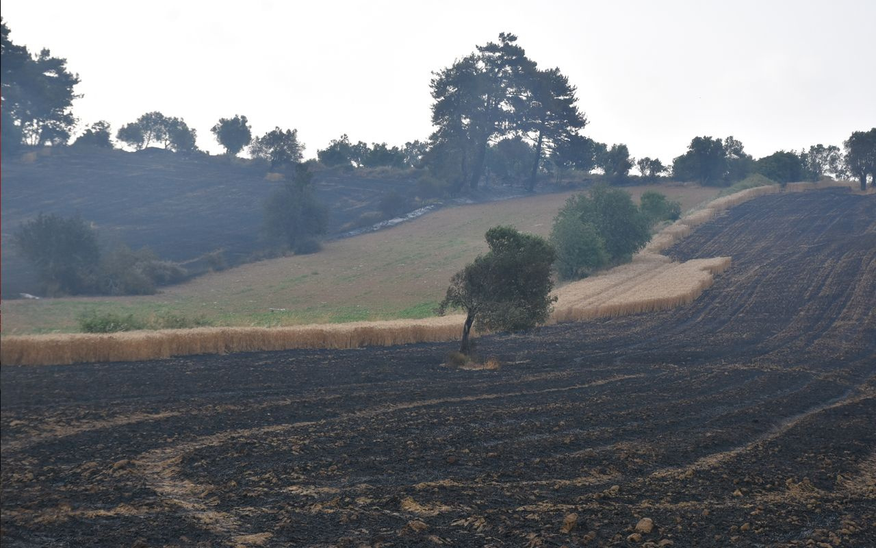 Çanakale'deki yangında köylülerin ekili arazisi yanarak kül oldu