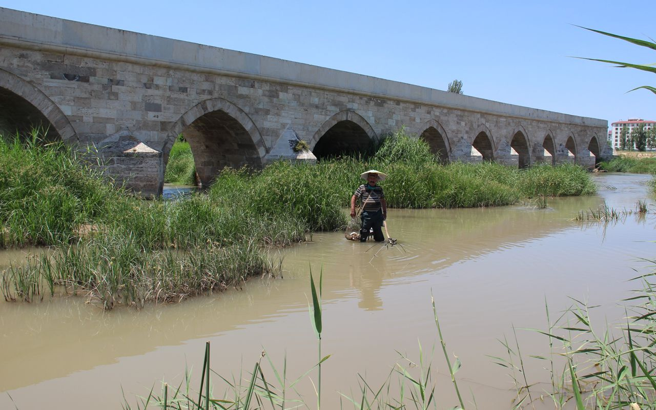Sivas'ta balıklara seslenen adam! Kızılırmak'a oturup avlıyor
