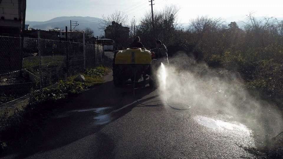 Sakarya'da korkutan ölümler! Peş peşe geldi meralar ilaçlanıyor