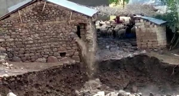 Van Erciş'te yaşanan sel felaketinde 1 ayı telef oldu