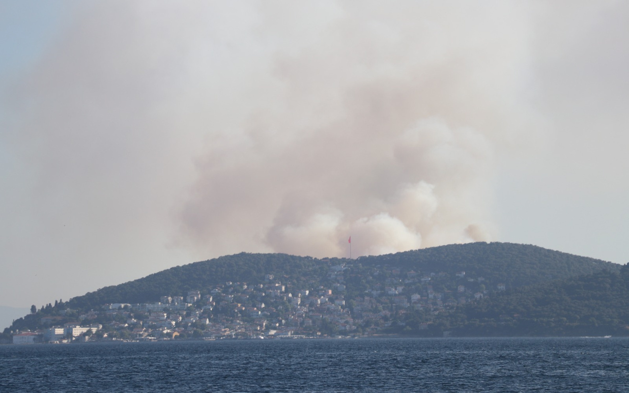 İstanbul Heybeliada'da orman yangını