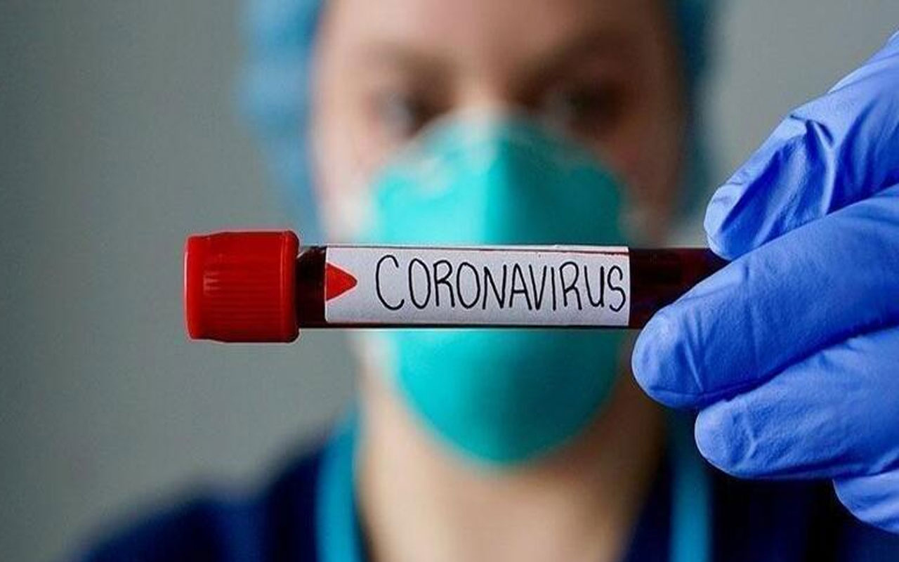 Korona aşısı son aşamaya hazır! 30 bin kişi üzerinde denenecek