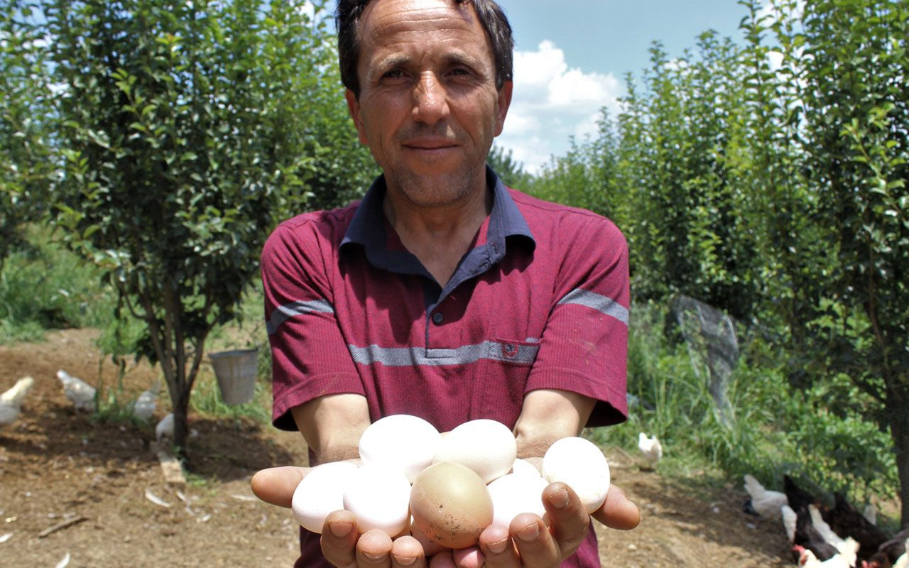 Bursa'da satacağı meyveleri tavuklara yedirip yumurtasını 3 katı fiyata satıyor