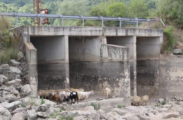 İstanbul'un suyu bitiyor! Kazandere ve Pabuçdere barajları kurudu