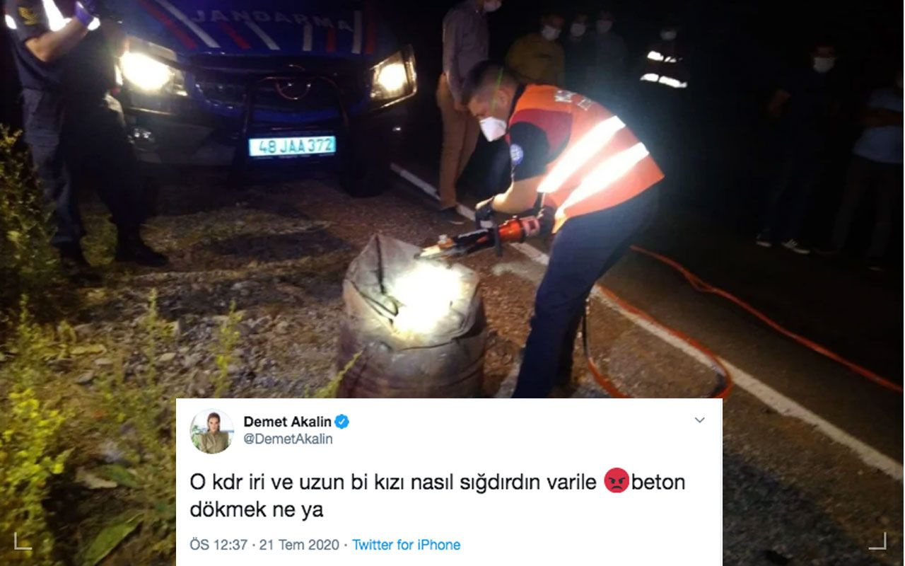 Demet Akalın Pınar Gültekin için attığı densiz 'varil' twitini savundu!