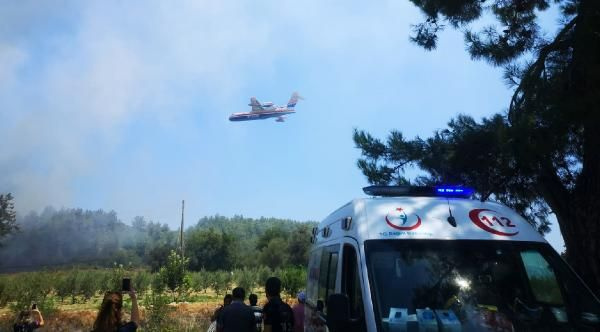 Antalya'da orman yangını! Yangında 1.5 hektarlık alan zarar gördü