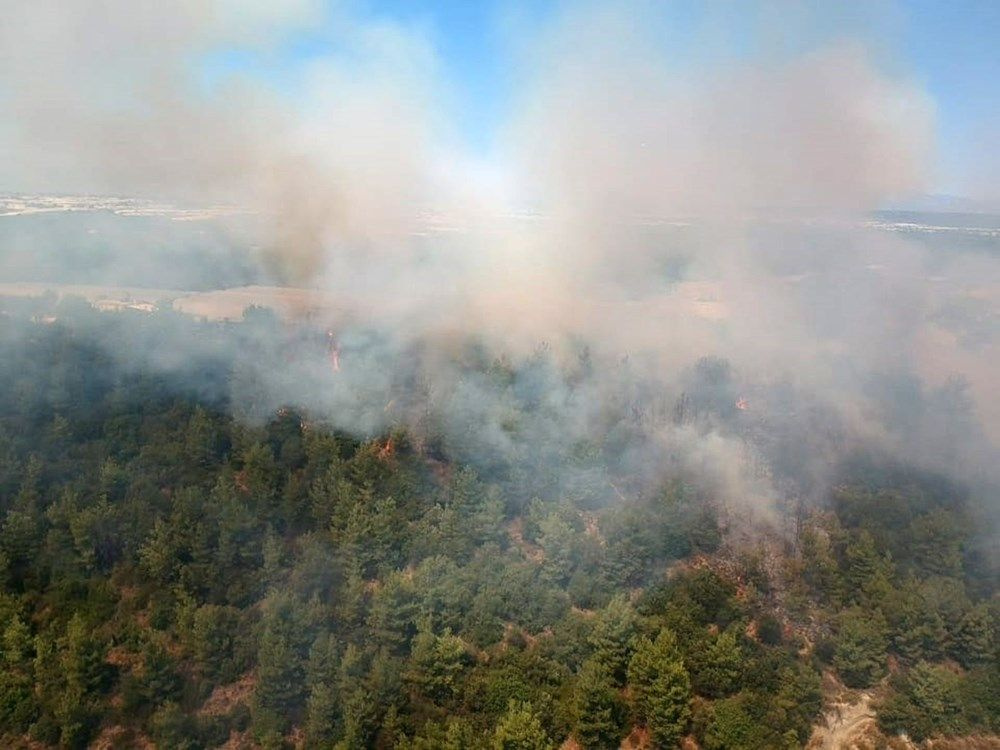 Antalya'da orman yangını! Yangında 1.5 hektarlık alan zarar gördü